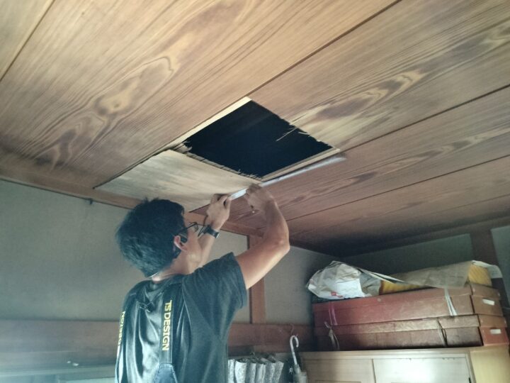 雨漏り対策は今がチャンス!|春にリフォームするメリットとは